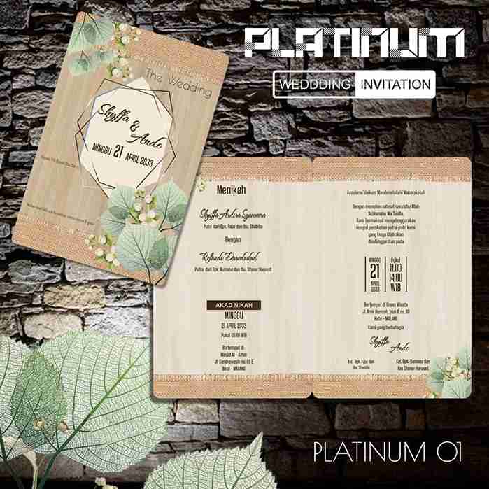 Platinum 01_2_11zon