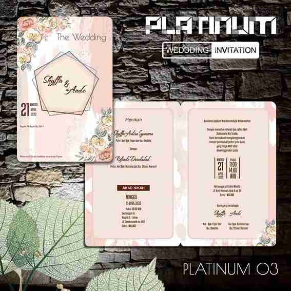 Platinum 03_4_11zon