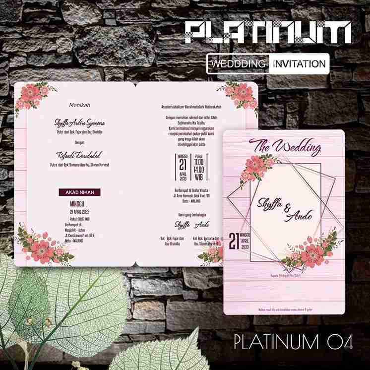 Platinum 04_5_11zon