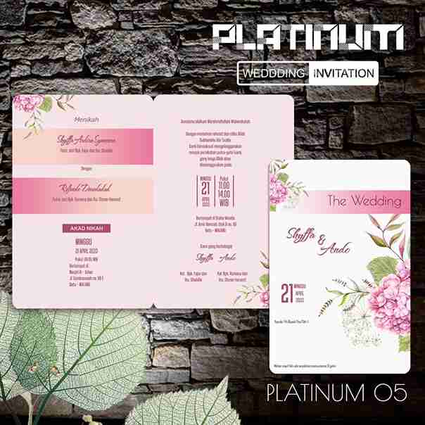 Platinum 05_6_11zon