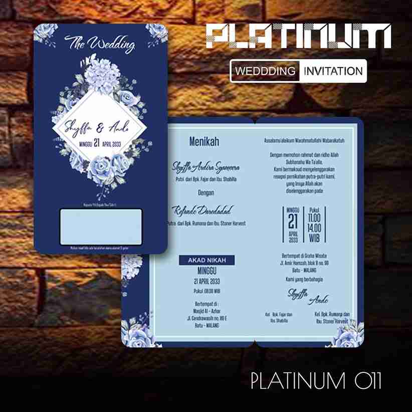 Platinum 11_8_11zon