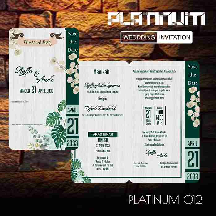Platinum 12_9_11zon