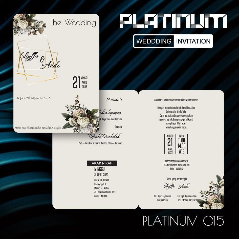 Platinum 15_12_11zon